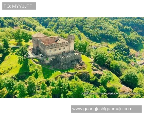 琉森与卢加诺的精彩对决分析及比赛前瞻展望