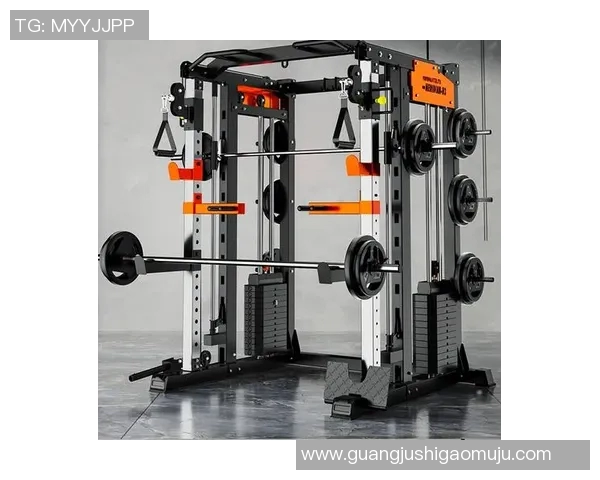 全面解析健身器材大全图助你选择最适合的健身设备与器械